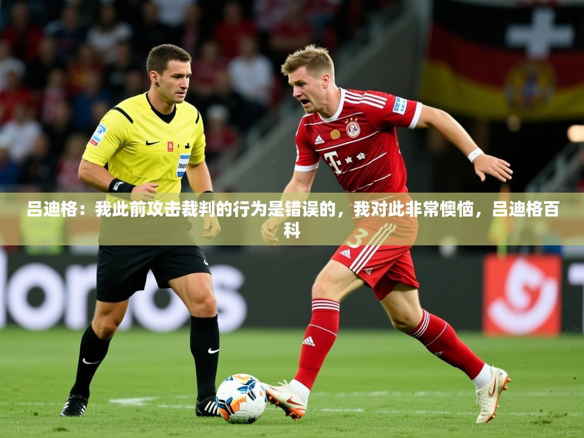 2025乐鱼体育下载吕迪格：我此前攻击裁判的行为是错误的，我对此非常懊恼，吕迪格百科  第2张