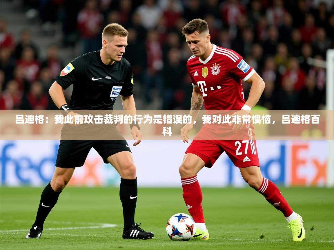 2025乐鱼体育下载吕迪格：我此前攻击裁判的行为是错误的，我对此非常懊恼，吕迪格百科  第4张
