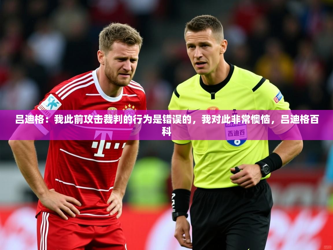 2025乐鱼体育下载吕迪格：我此前攻击裁判的行为是错误的，我对此非常懊恼，吕迪格百科  第3张