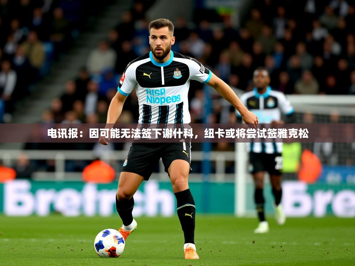 2025乐鱼体育网址电讯报：因可能无法签下谢什科，纽卡或将尝试签雅克松  第1张