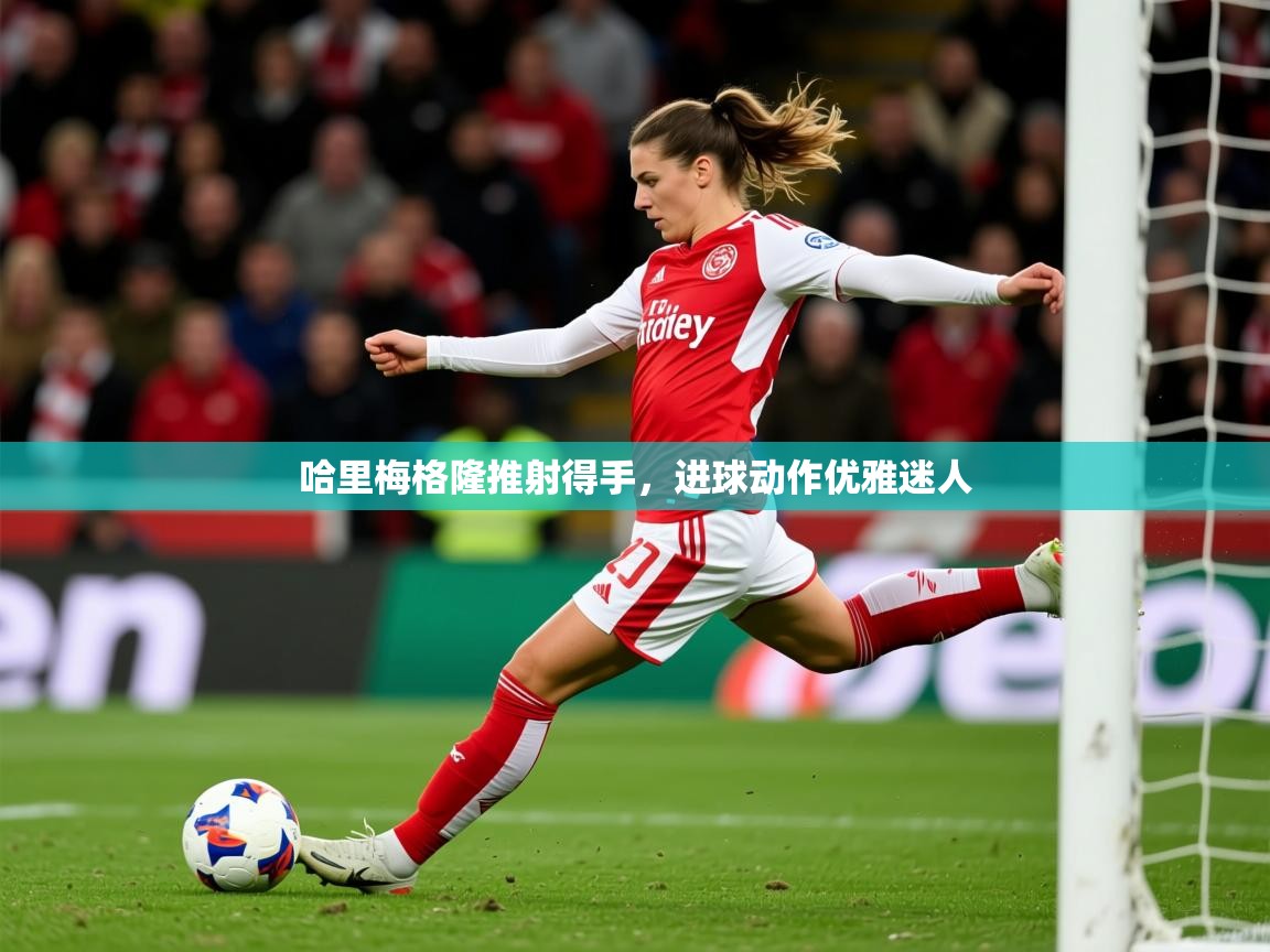2026乐鱼体育登录网页入口哈里梅格隆推射得手,进球动作优雅迷人 第4张